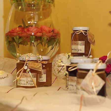 酒店 Garni Elisabeth