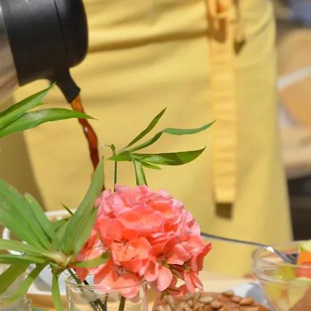 Garni Elisabeth 4* Pörtschach am Wörthersee